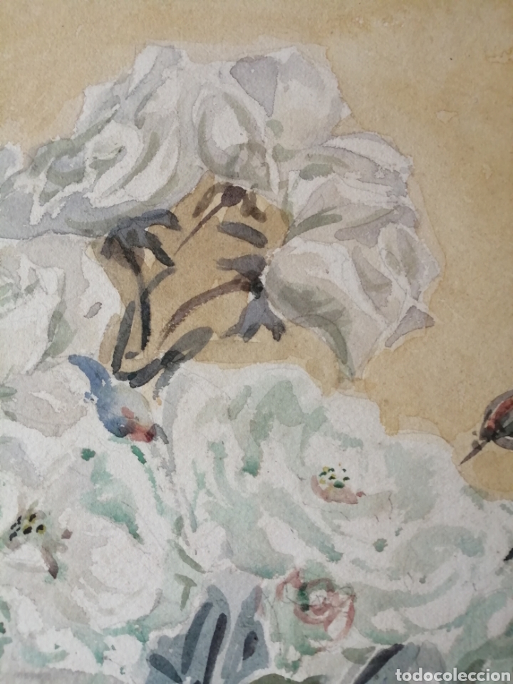 Arte: A. E. Clarke. Acuarela. - Foto 4