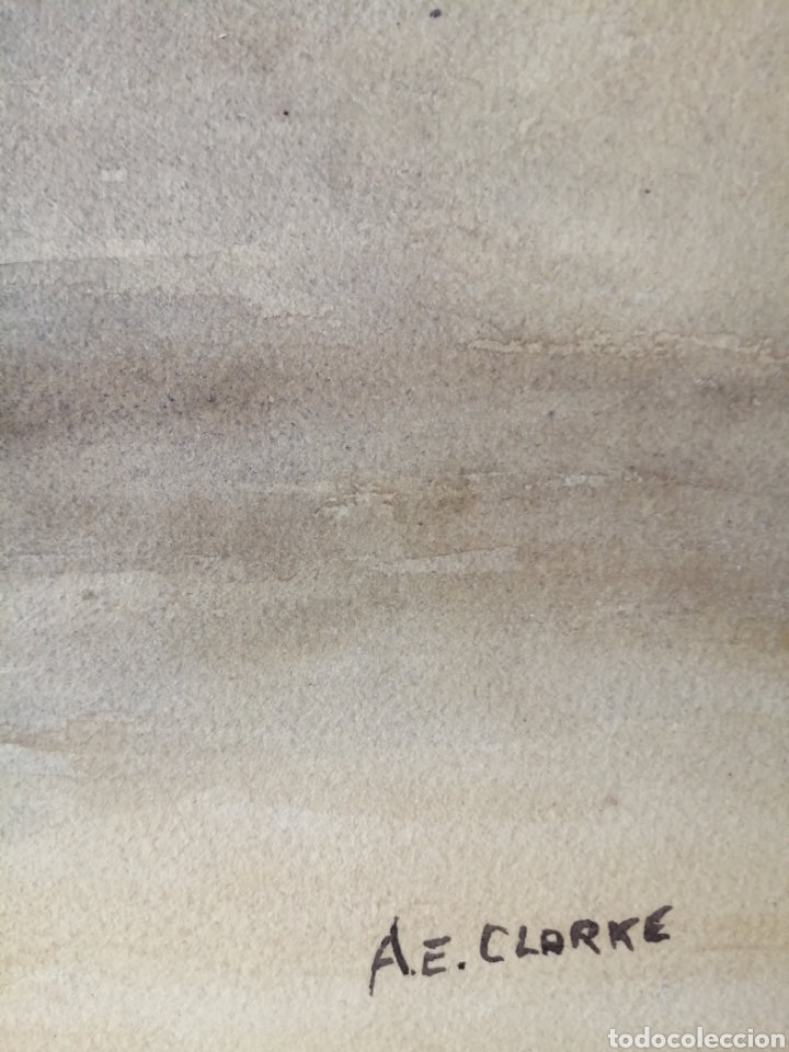 Arte: A. E. Clarke. Acuarela. - Foto 7