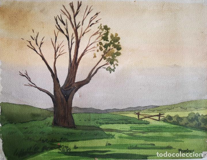 Art: Acuarela &aacute;rbol en paisaje de Asturias por Fresno Pereiras