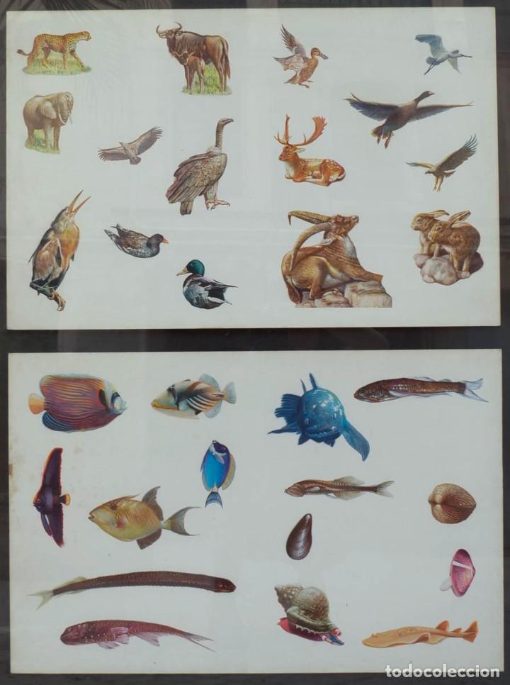 Kunst: Pareja de acuarelas animales