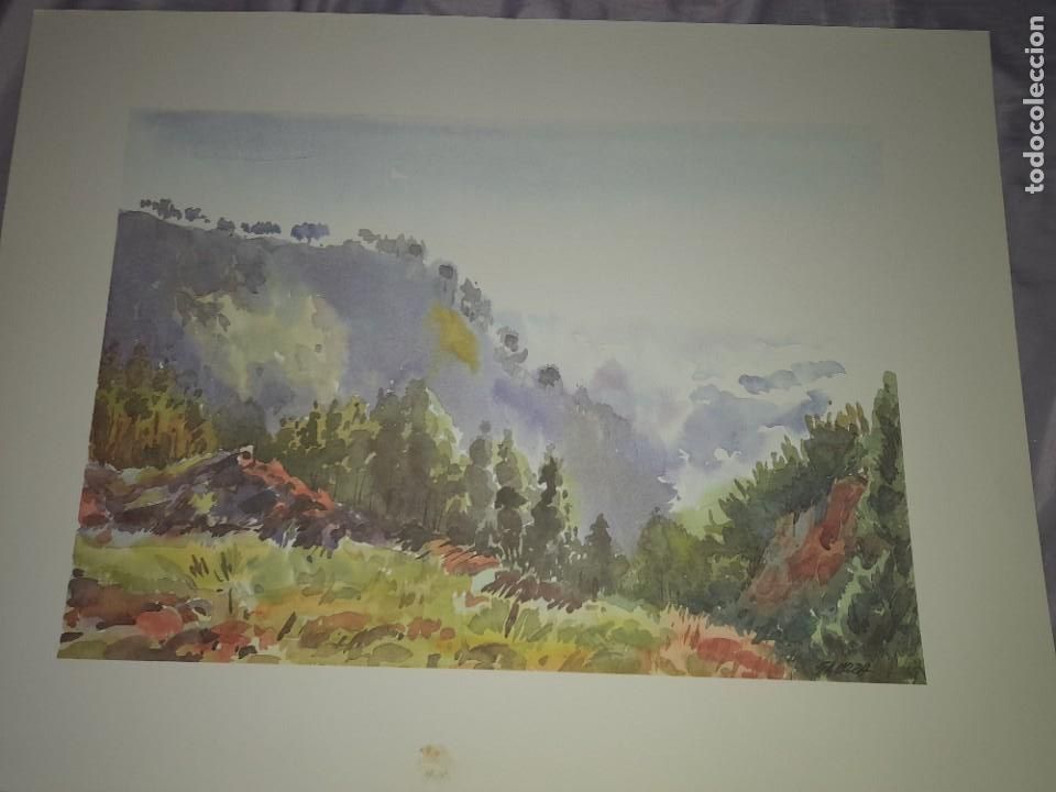 Kunst: Antigua acuarela litograf&iacute;a pintor reside canario galarza mide 46 x 34 ctm