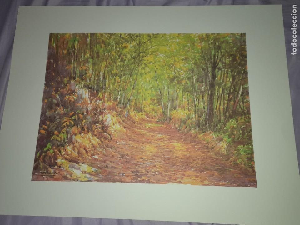 Kunst: Antigua acuarela litograf&iacute;a pintor canario siro Manuel lorenzo Salazar mide 46 x 35 ctms