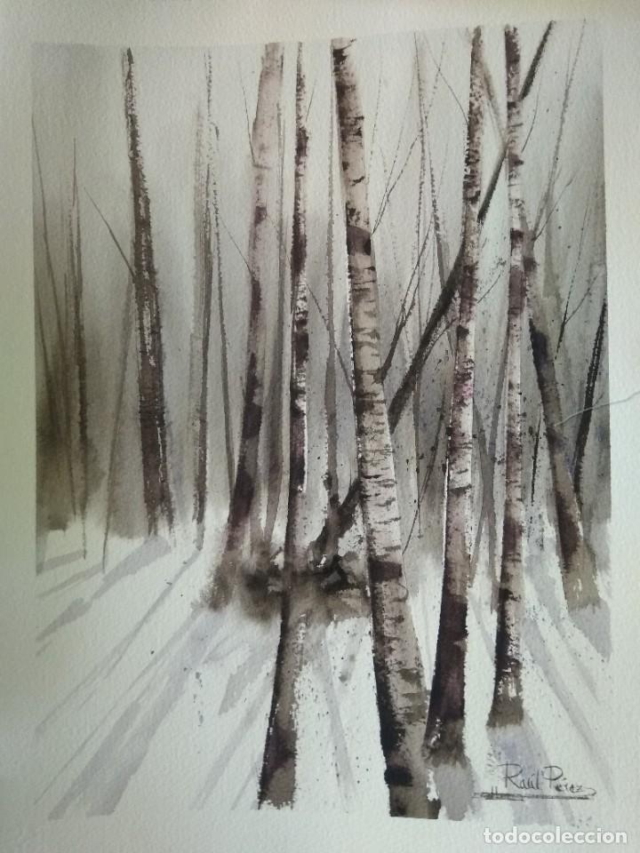 Arte: Acuarela original Ra&uacute;l P&eacute;rez - Foto 1
