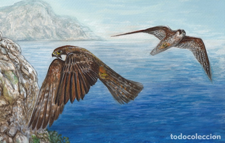 Arte: Acuarela. Halcones de Eleonor - Foto 2