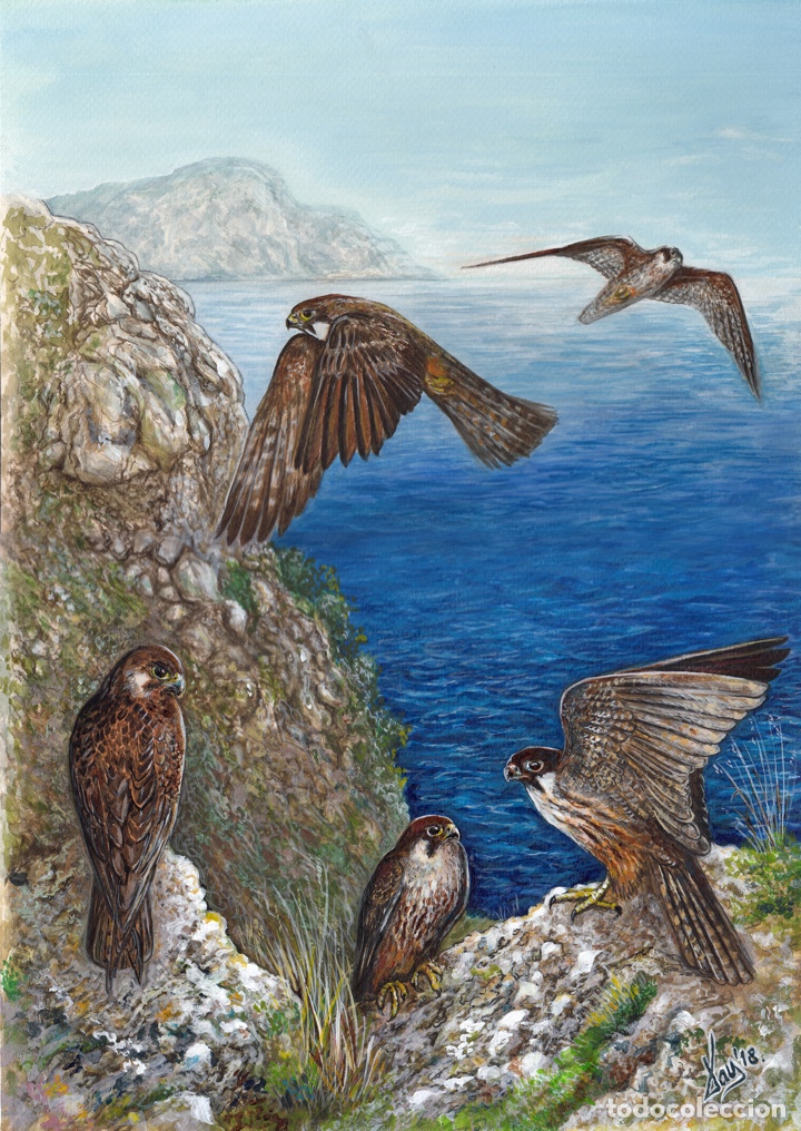 Arte: Acuarela. Halcones de Eleonor - Foto 1