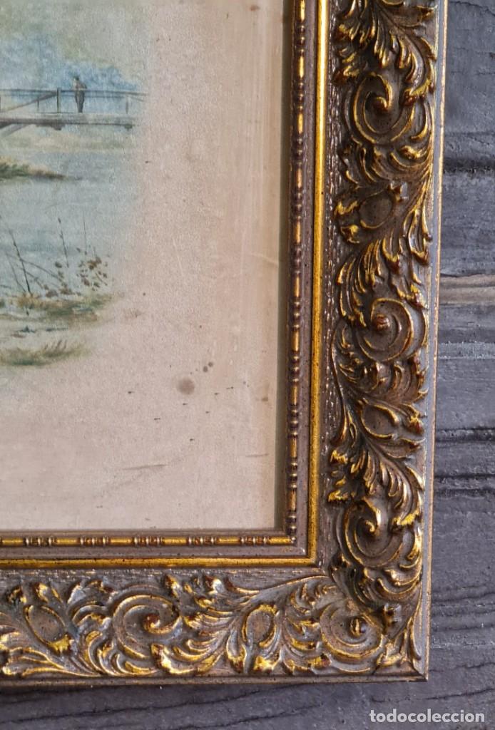 Arte: Acuarela de Ernst Heyn - Foto 5