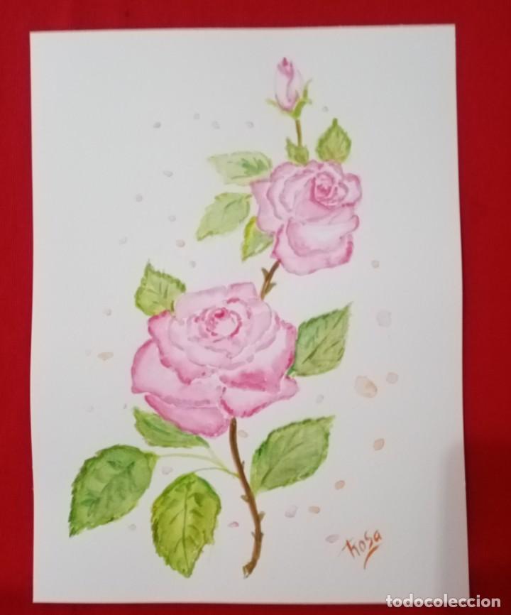 Arte: Acuarela, flor, rosas - Foto 1
