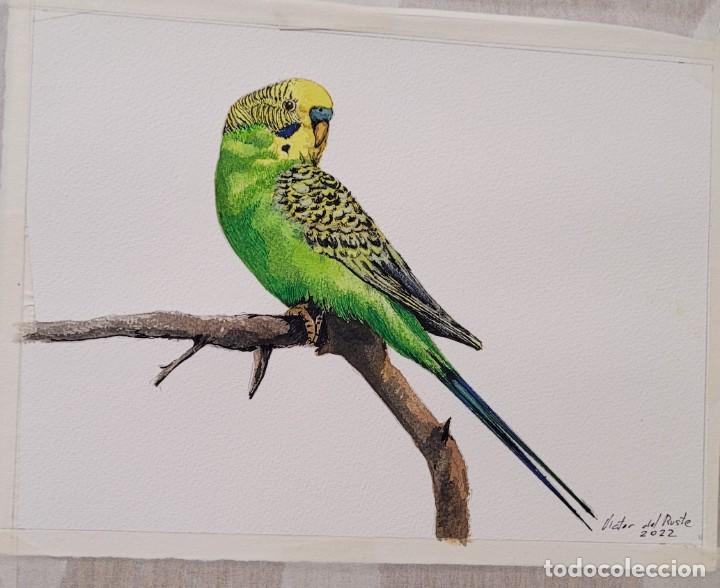 Kunst: PAJARO CANTOR