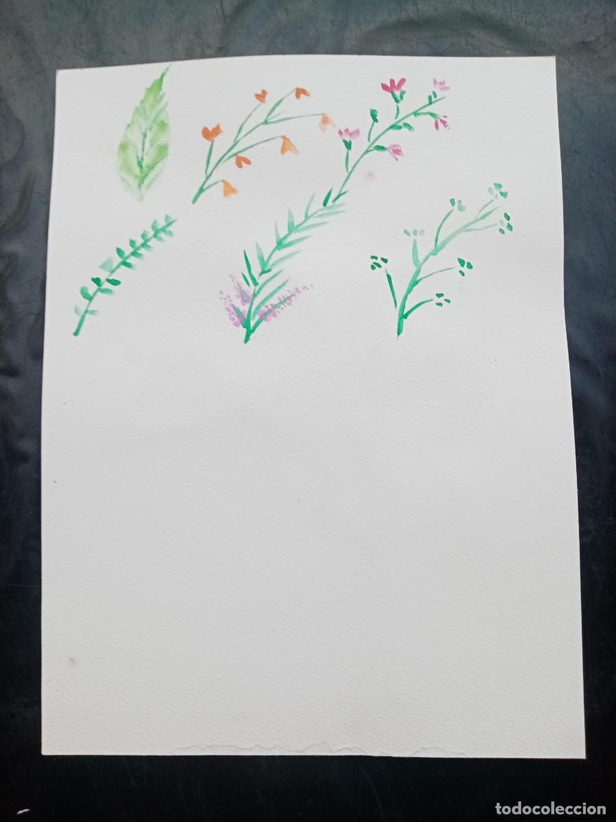Arte: Claveles, Acuarela - Foto 2
