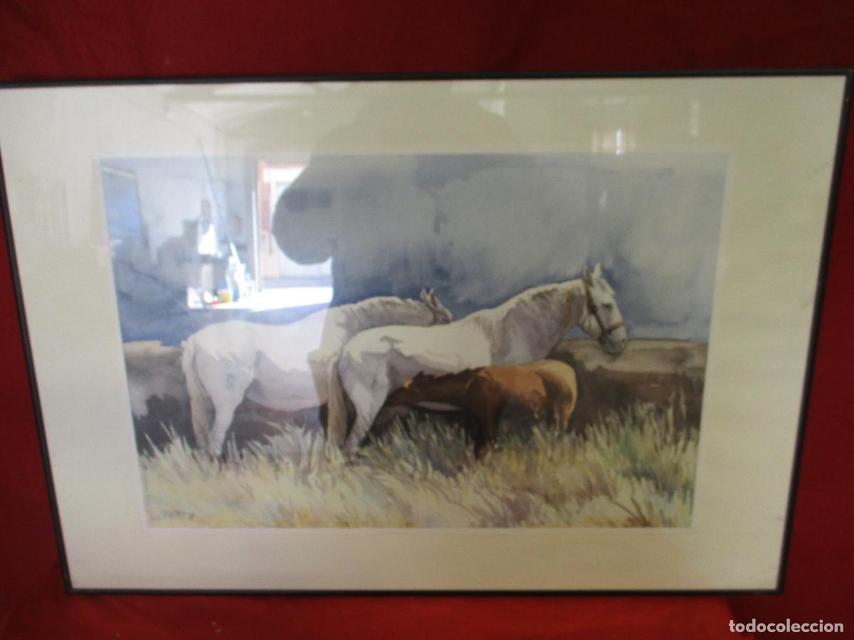 Arte: Cuadro caballos pastando - Foto 1