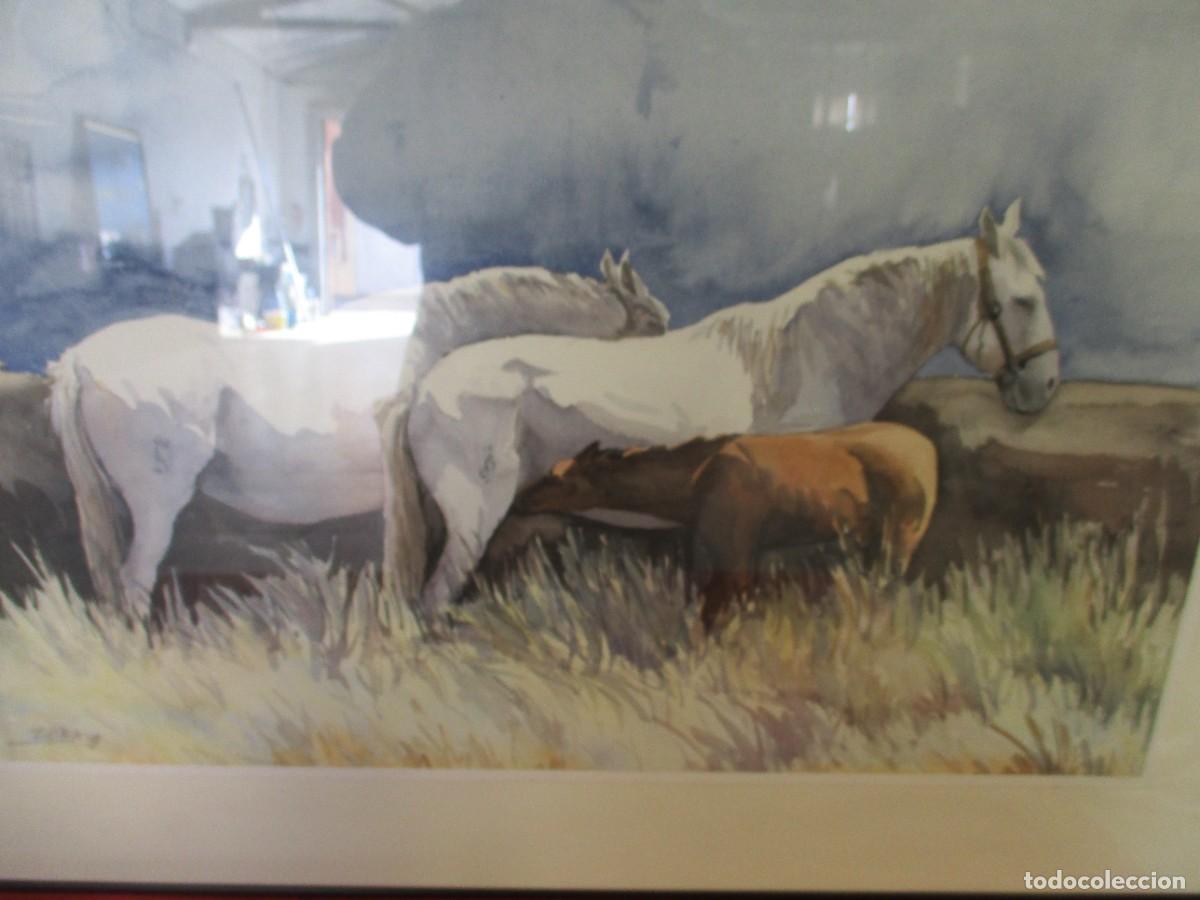 Arte: Cuadro caballos pastando - Foto 2