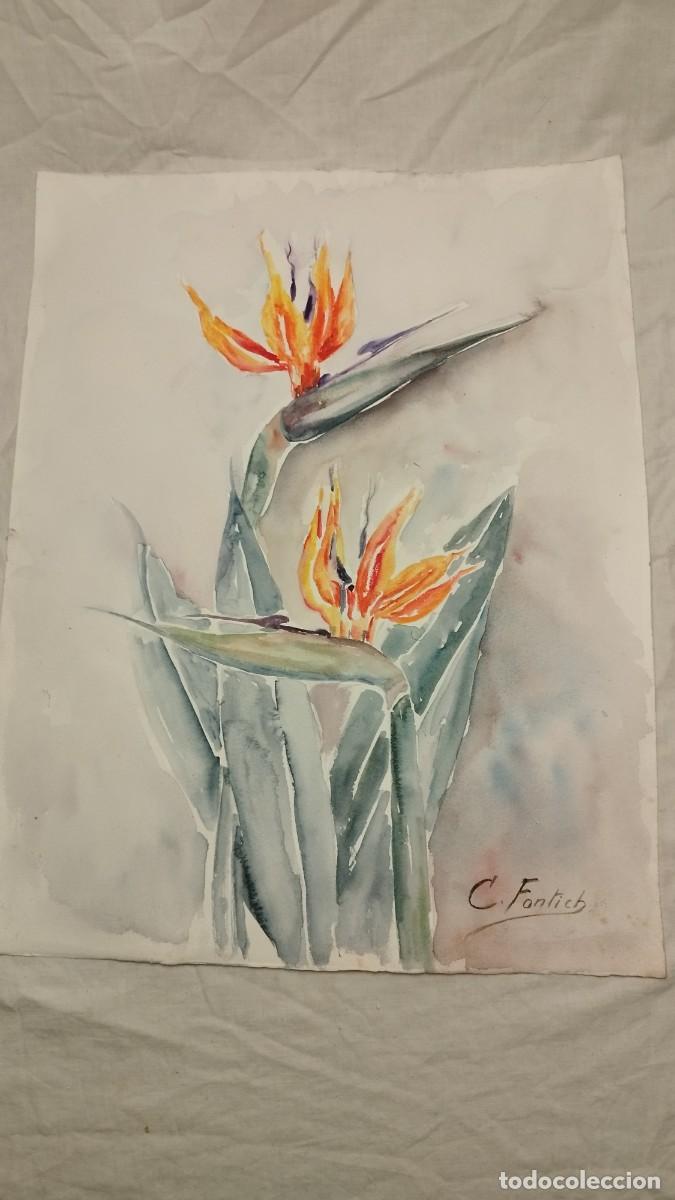 bella acuarela de flores esterlicias firmada c. - Compra venta en  todocoleccion