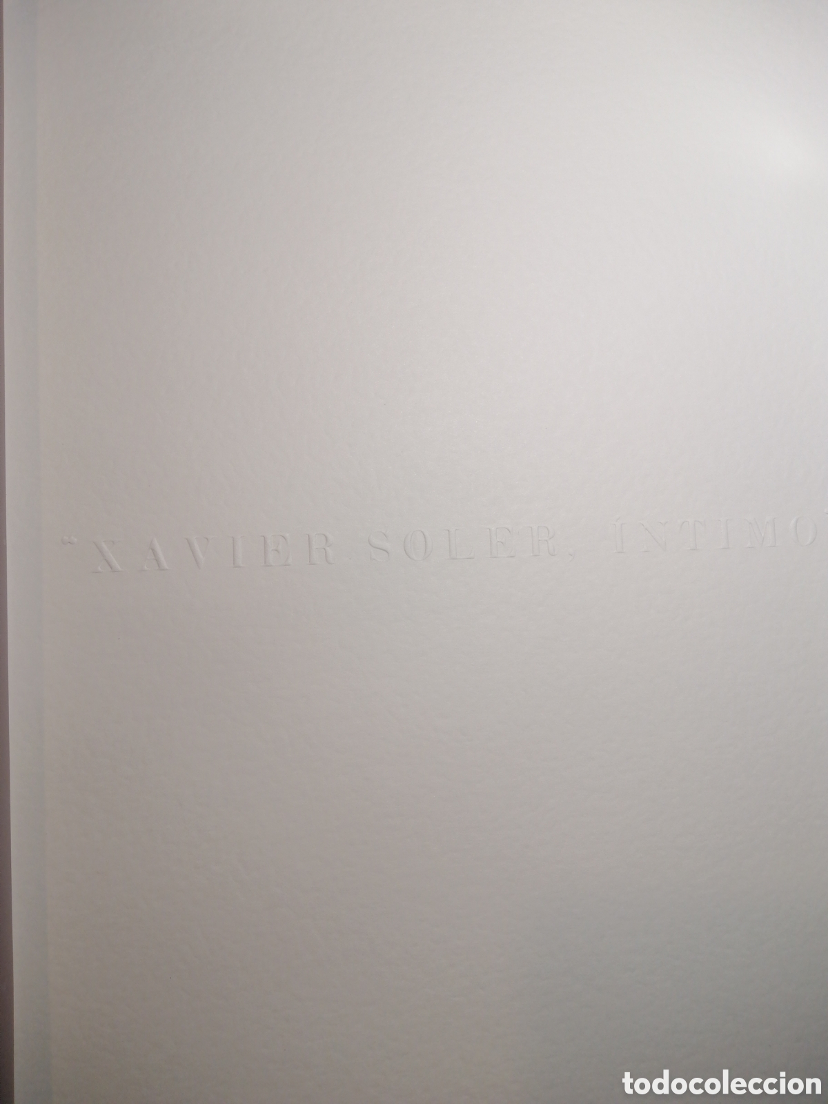 Arte: Xavier Soler, Intimo Alicante 2009 - Foto 3