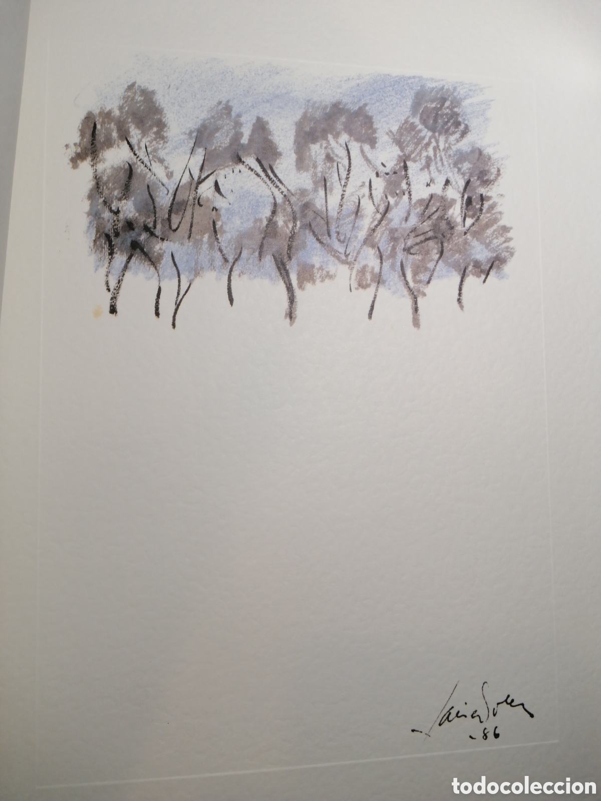 Arte: Xavier Soler, Intimo Alicante 2009 - Foto 7