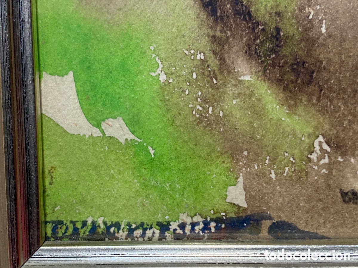 Arte: Amadeu Casals - Foto 4