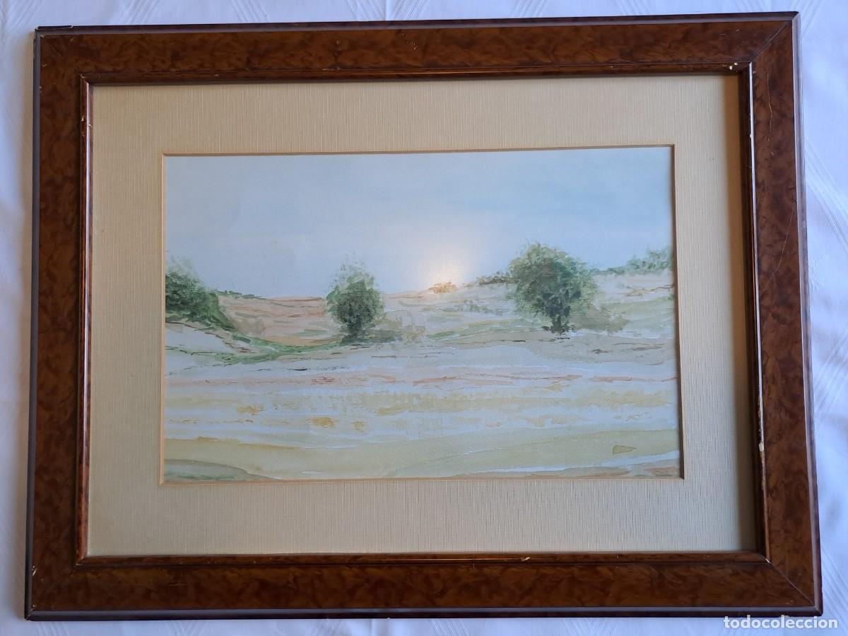 Kunst: Acuarela de paisaje con tres &aacute;rboles. Enmarcado