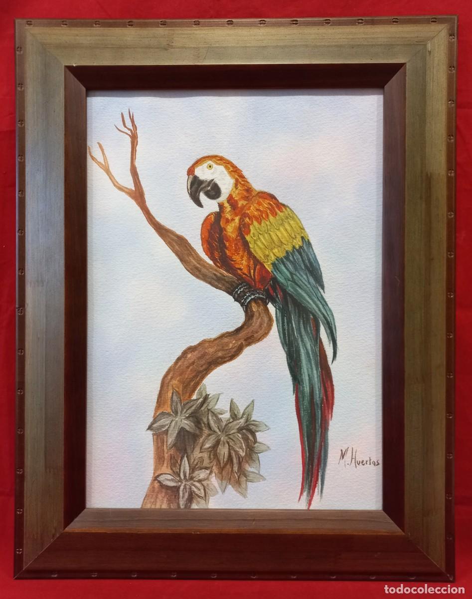 Kunst: PINTURA ACUARELA ORIGINAL DE AUTOR CON MOTIVO PAPAGAYO FIRMADA M. HUERTAS