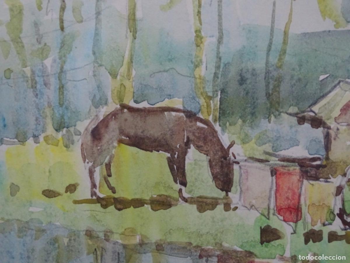 Arte: ACUARELA DE ZAMORA MU&Ntilde;OZ. CAMPAMENTO GITANO. - Foto 8