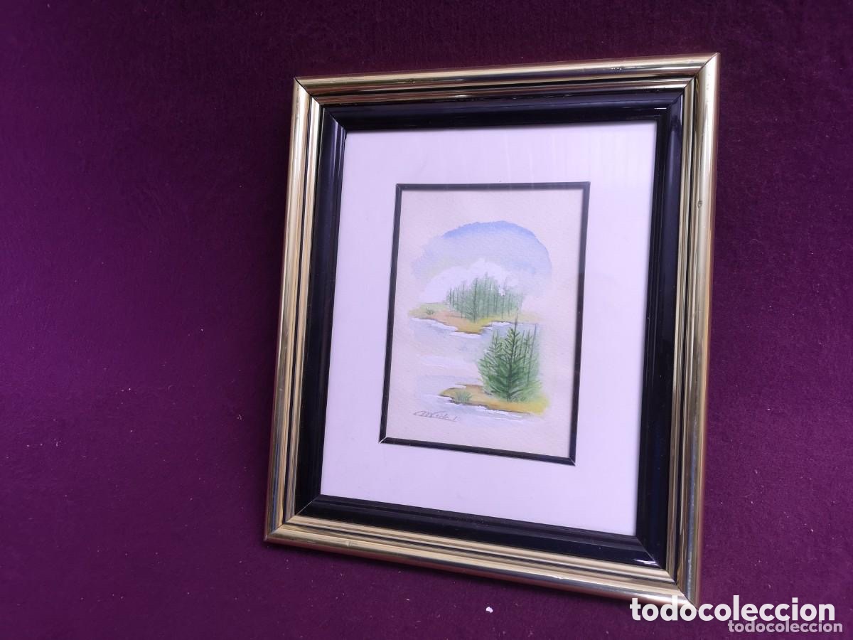 Arte: Cuadro acuarela original de M, Vidal , - Foto 3