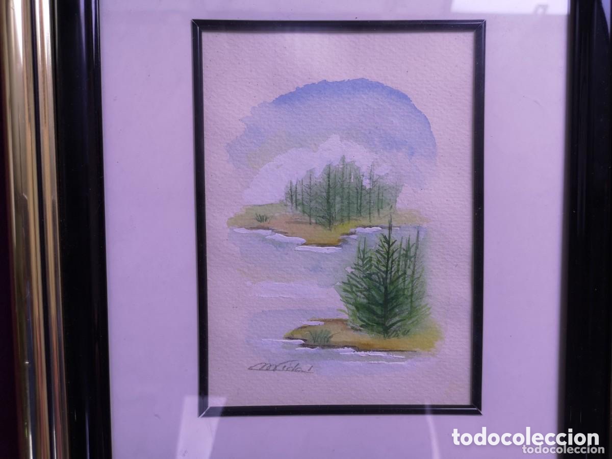 Arte: Cuadro acuarela original de M, Vidal , - Foto 4