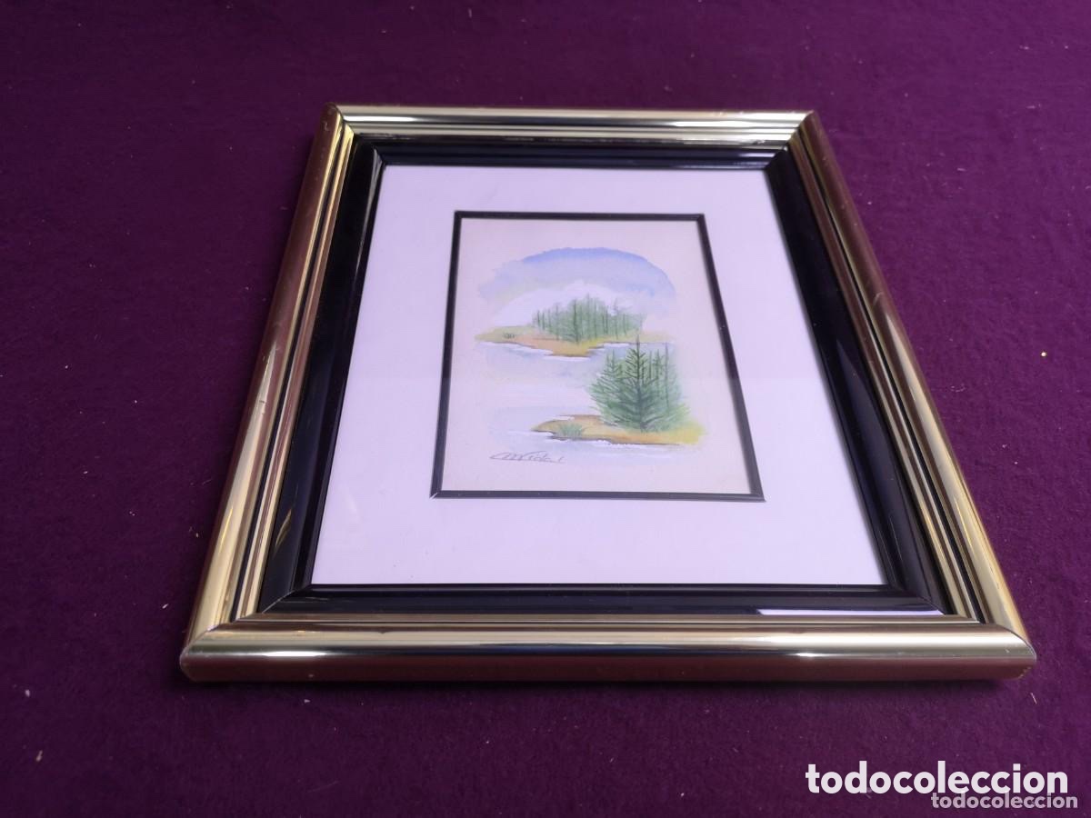 Arte: Cuadro acuarela original de M, Vidal , - Foto 7