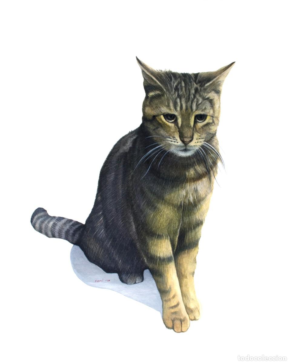 Arte: Acuarela con gato romano - Foto 1