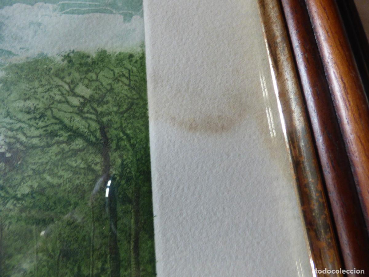 Arte: Acuarela. - Foto 5