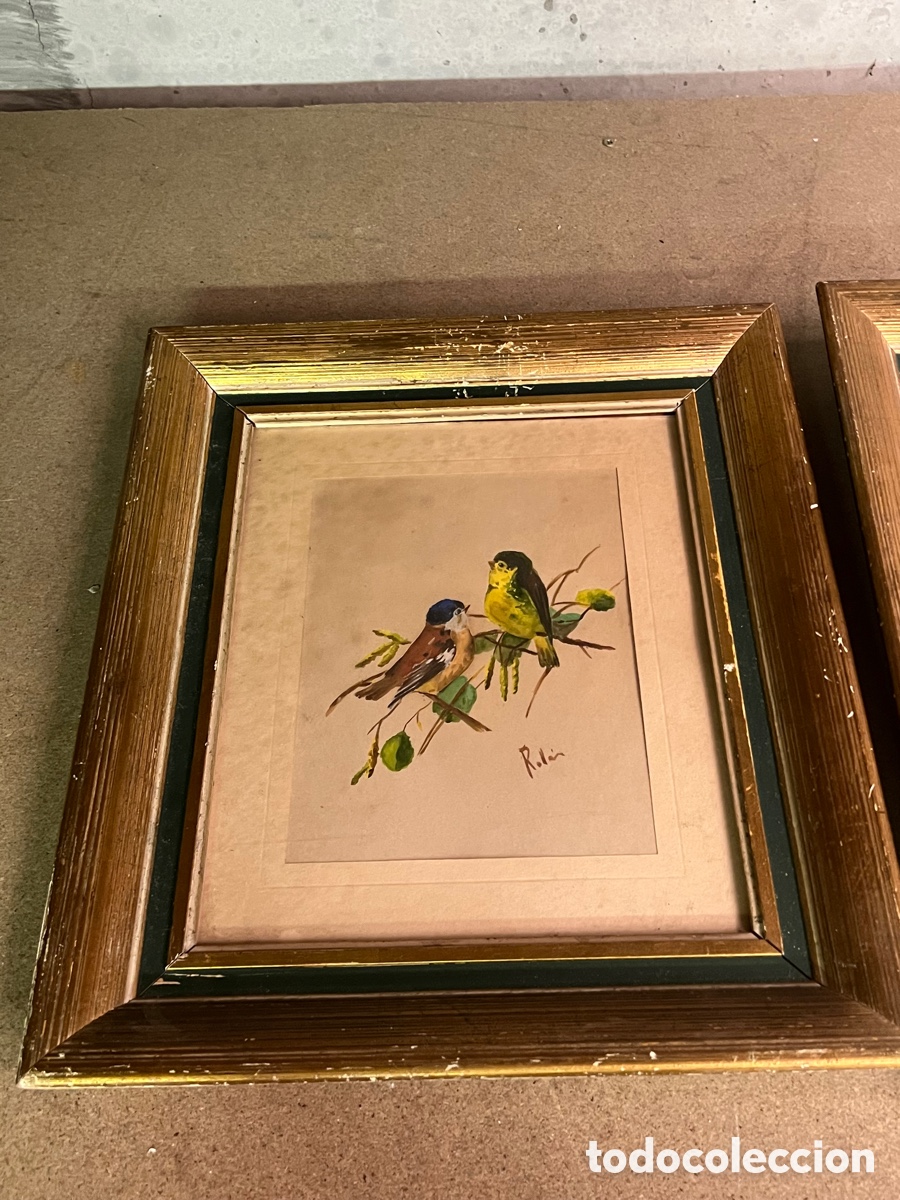 Arte: 2 cuadros p&aacute;jaros ROLLAN - Foto 2