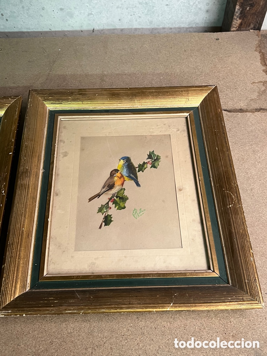Arte: 2 cuadros p&aacute;jaros ROLLAN - Foto 3