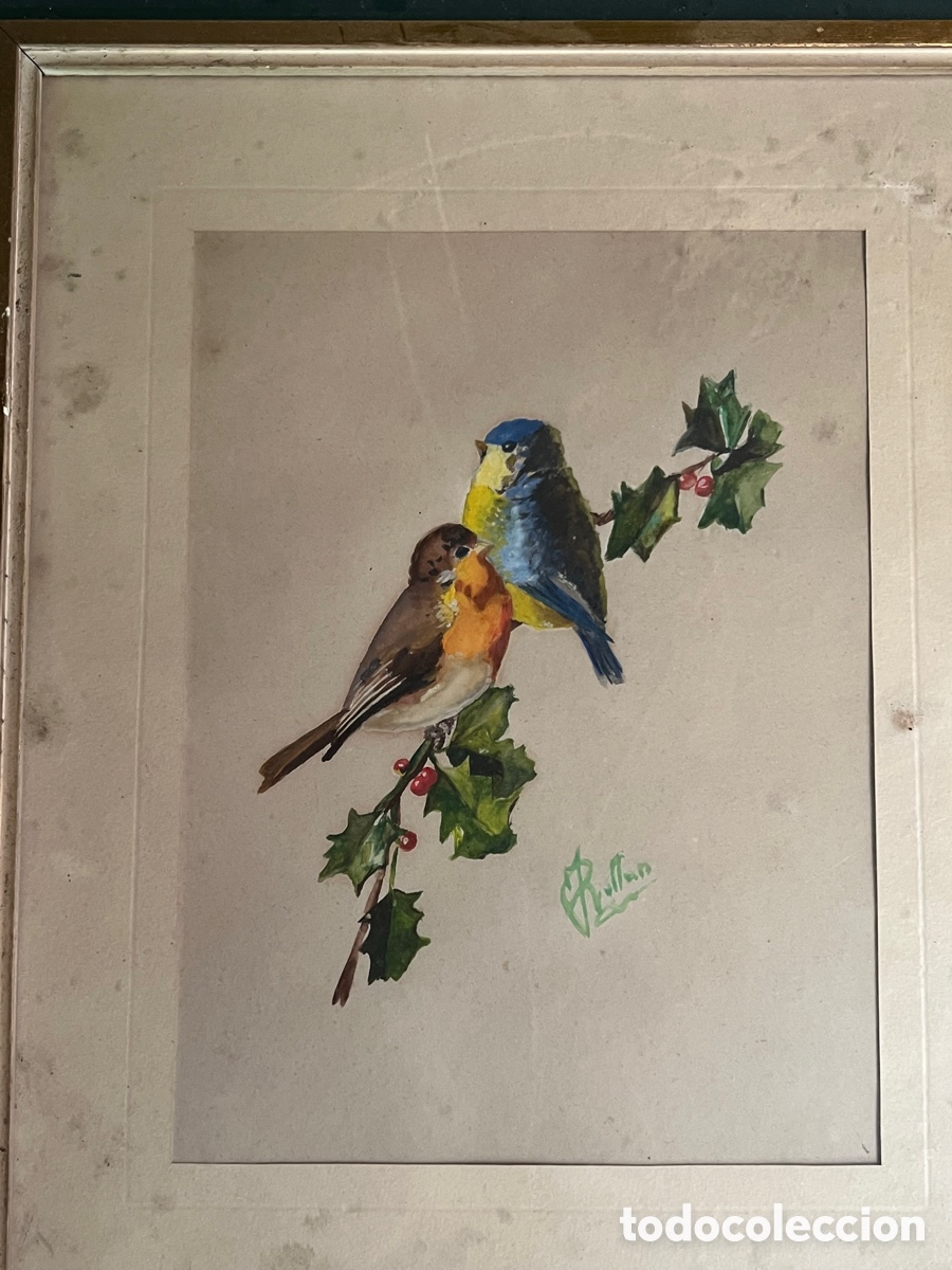 Arte: 2 cuadros p&aacute;jaros ROLLAN - Foto 4