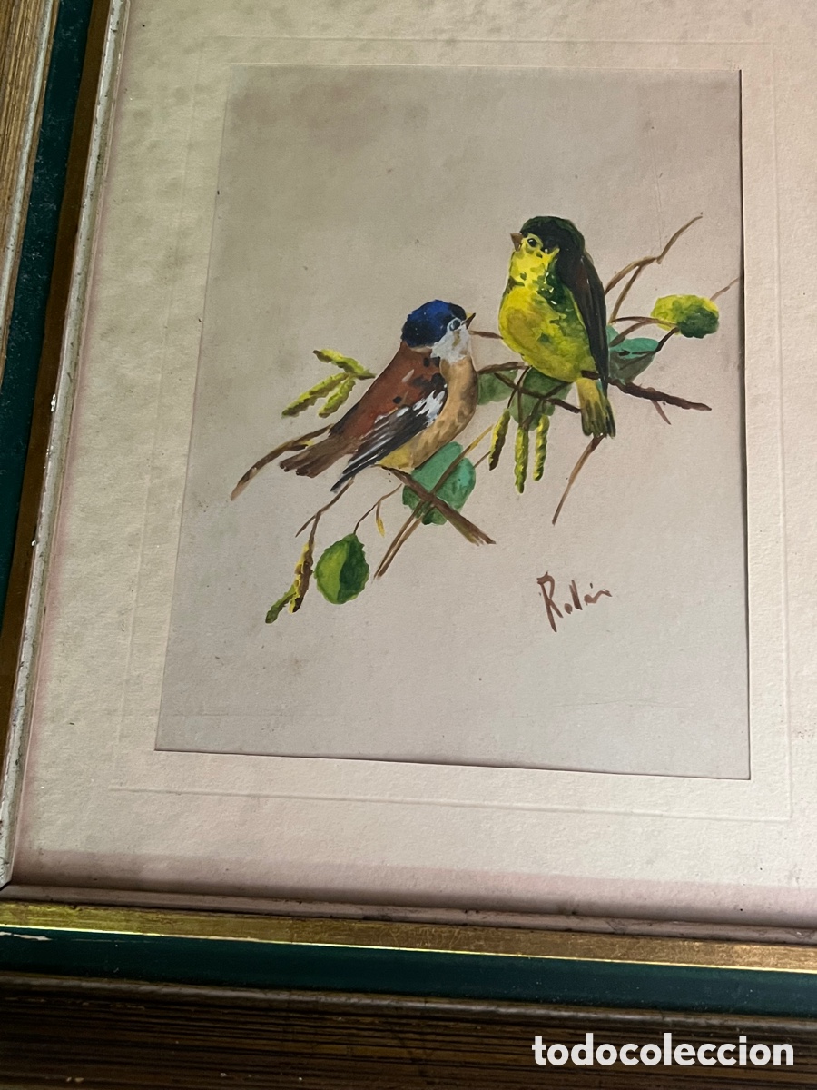 Arte: 2 cuadros p&aacute;jaros ROLLAN - Foto 5