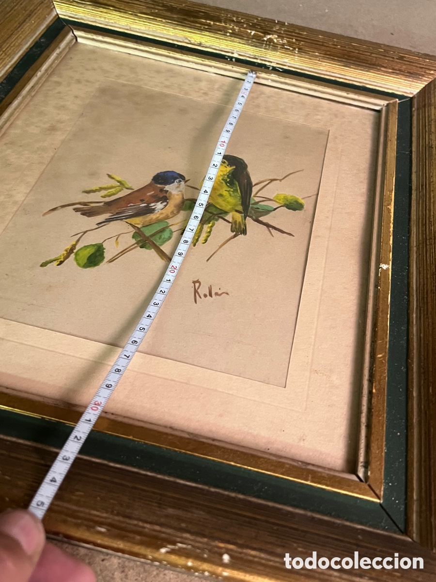 Arte: 2 cuadros p&aacute;jaros ROLLAN - Foto 6