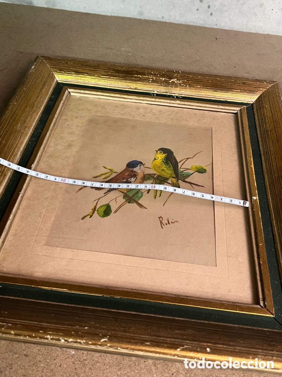 Arte: 2 cuadros p&aacute;jaros ROLLAN - Foto 7