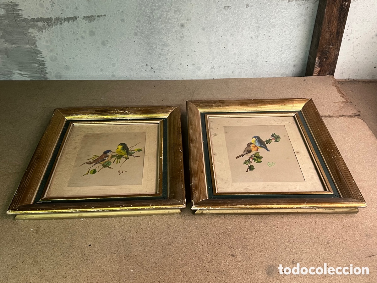 Arte: 2 cuadros p&aacute;jaros ROLLAN - Foto 1