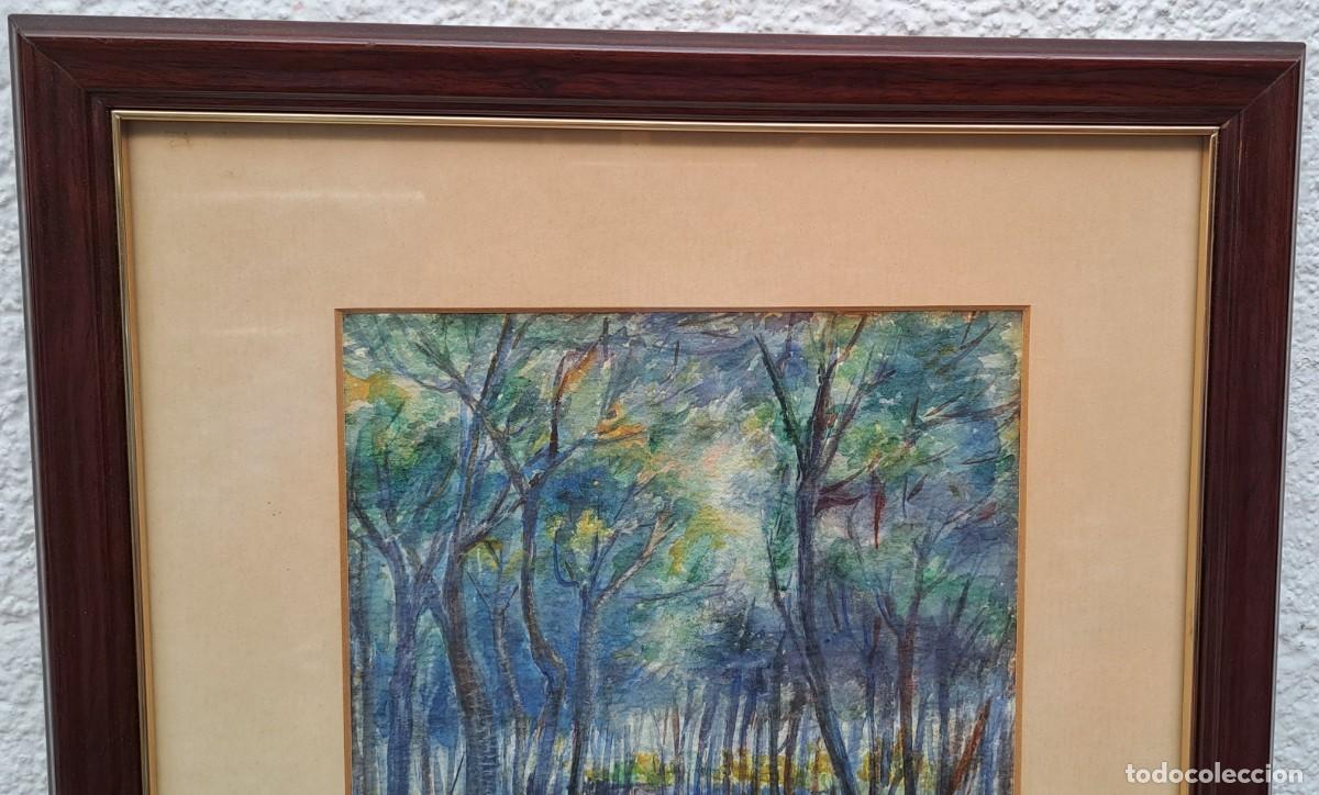 Arte: Acuarela de M. Comerma a&ntilde;o 1925 - Foto 3