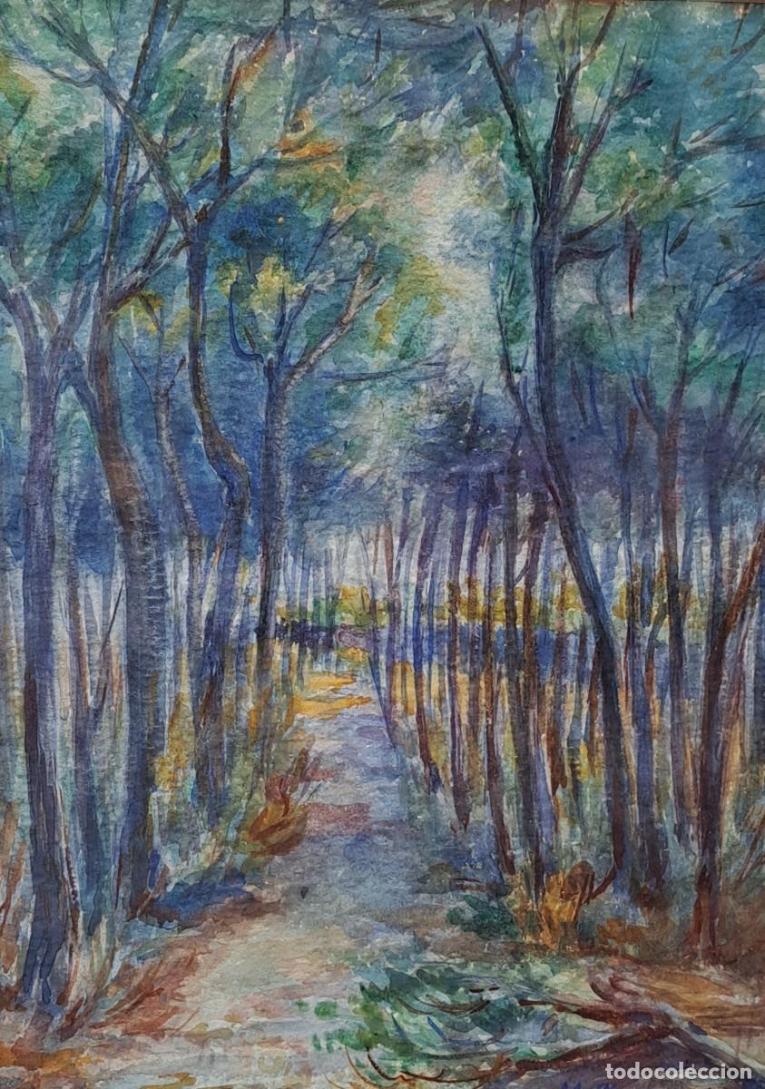 Arte: Acuarela de M. Comerma a&ntilde;o 1925 - Foto 6