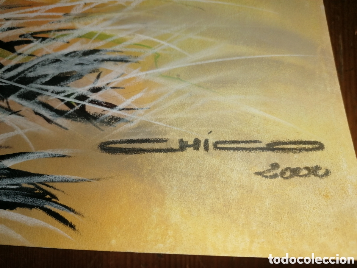 Arte: ------ Dimas Coello? - Foto 3
