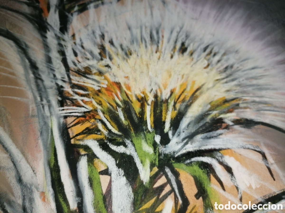 Arte: ------ Dimas Coello? - Foto 2