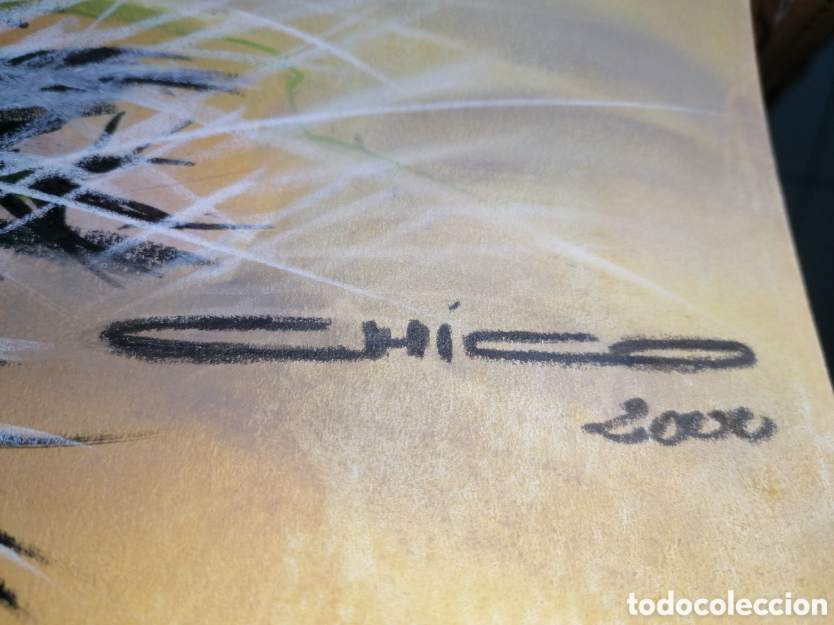 Arte: ------ Dimas Coello? - Foto 10