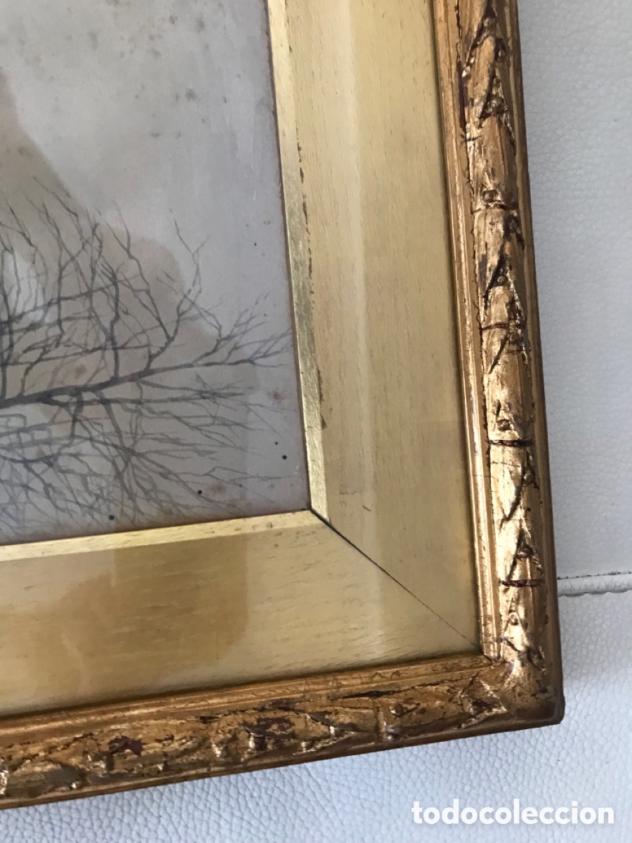 Arte: Acuarela antigua - Foto 8