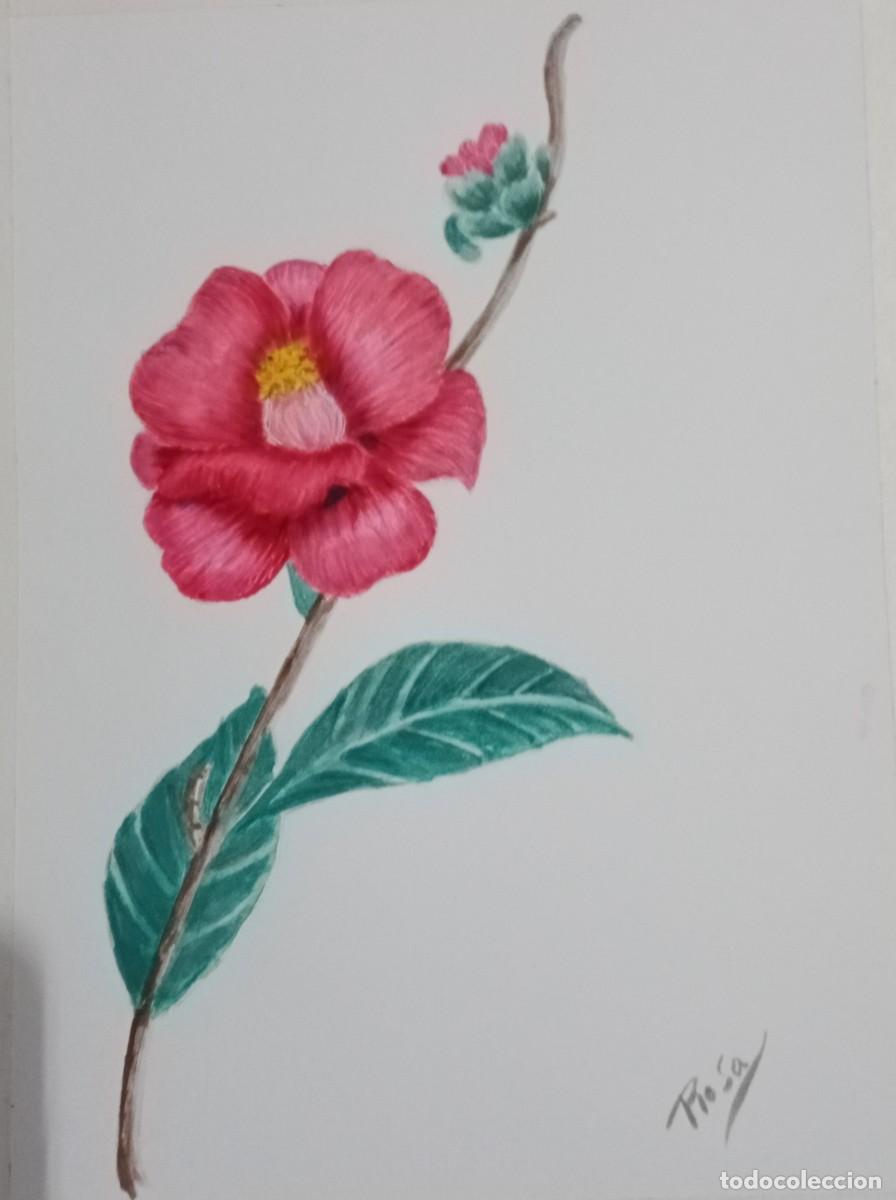 Arte: Camelia roja, acuarela - Foto 1