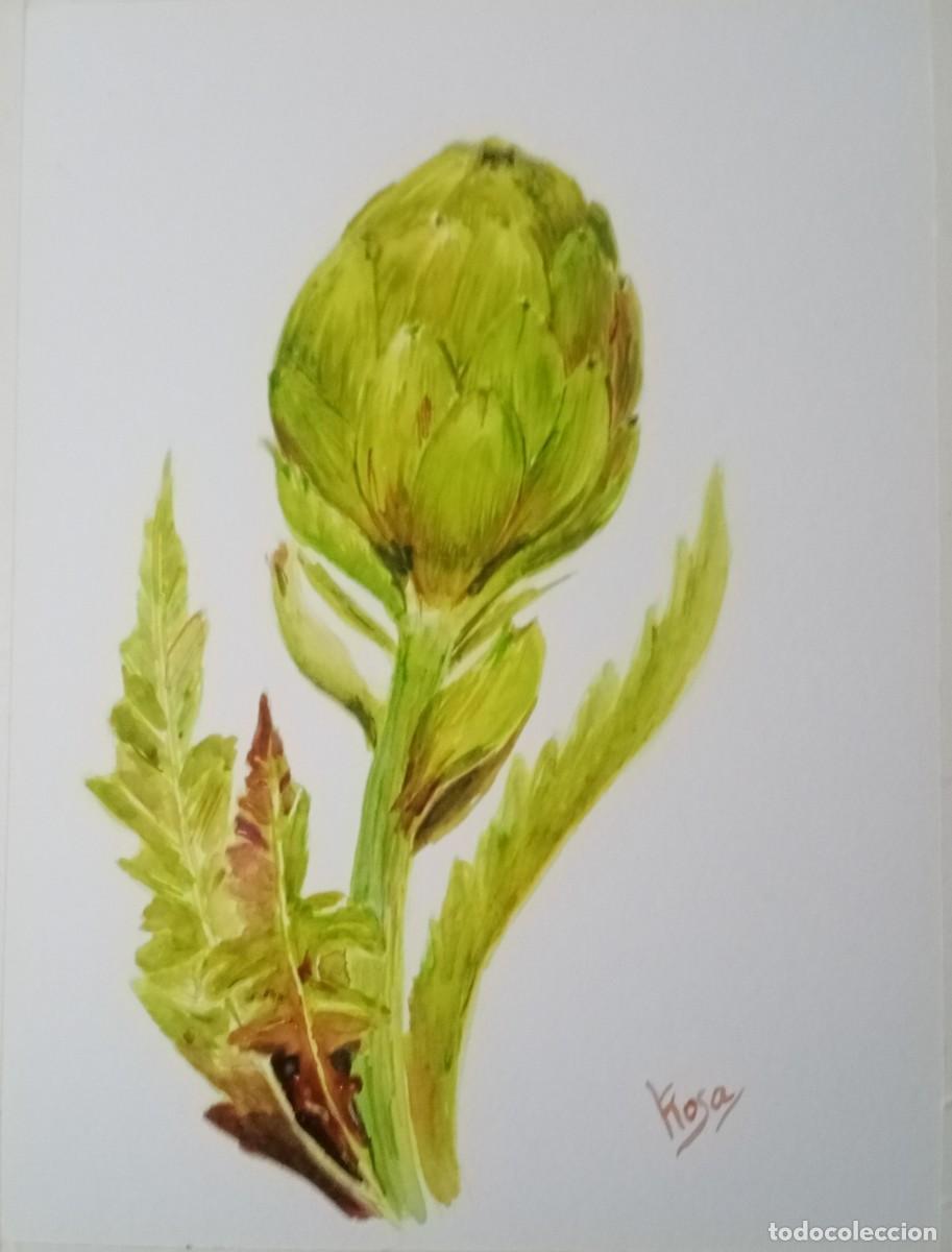 Arte: Alcachofa en acuarela - Foto 1