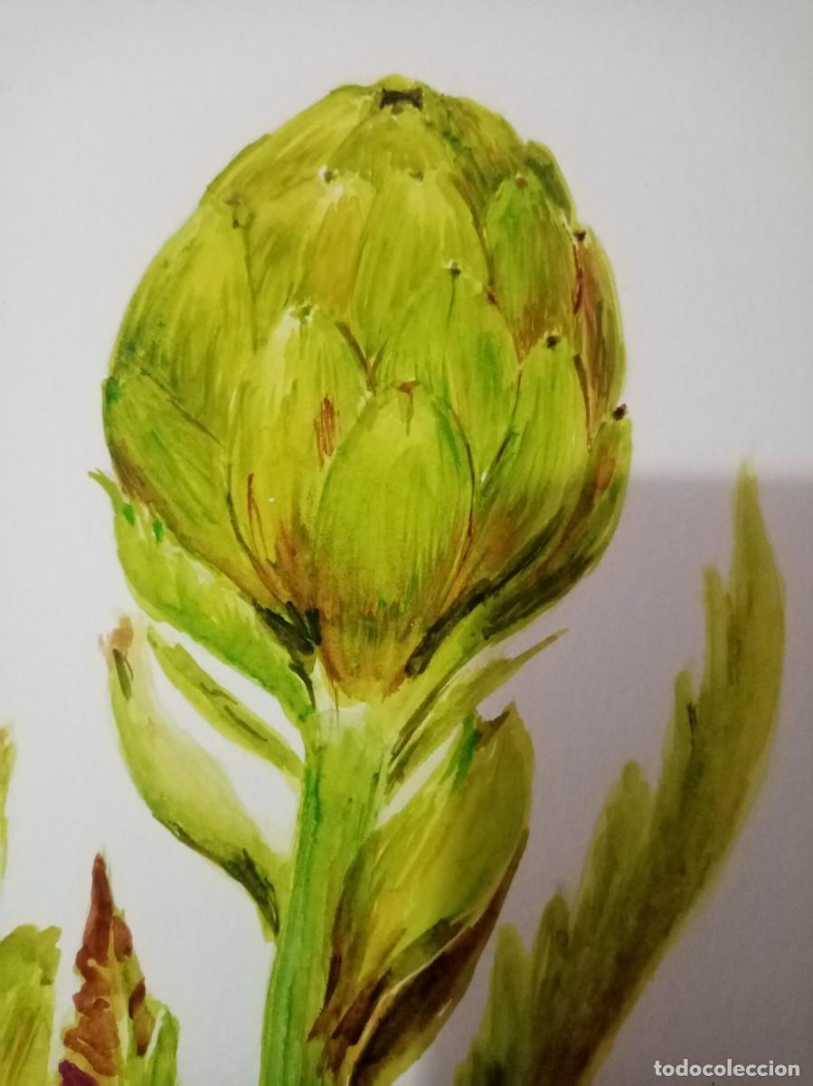 Arte: Alcachofa en acuarela - Foto 2