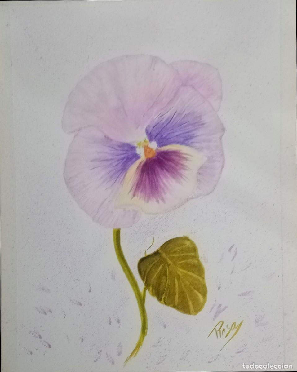 Arte: Pensamiento, flor en acuarela - Foto 1