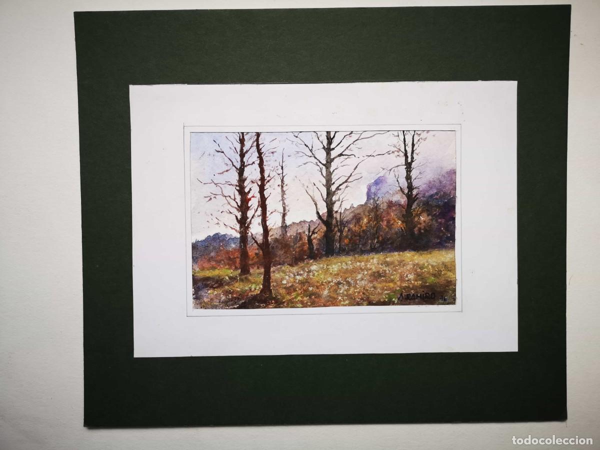 Arte: Acuarela paisaje bosque Somiedo en Asturias por Agustin Ramiro