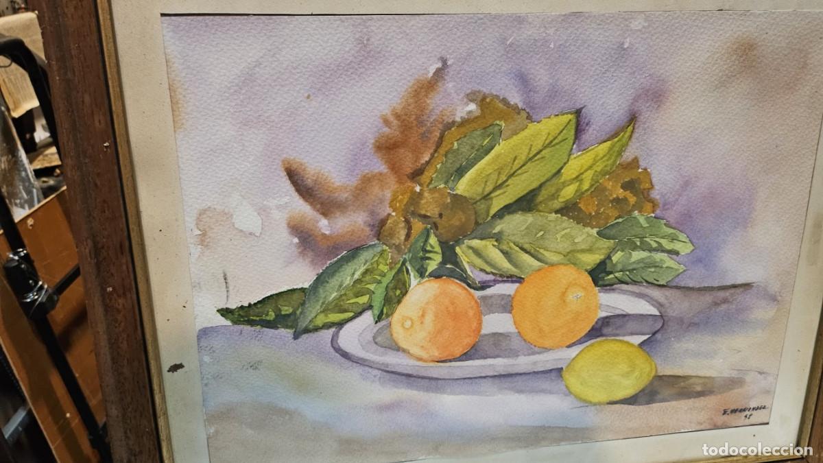 Arte: acuarela - Foto 4