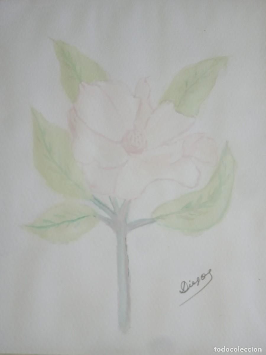 Kunst: Lamina acuarela firmada,directamente del autor