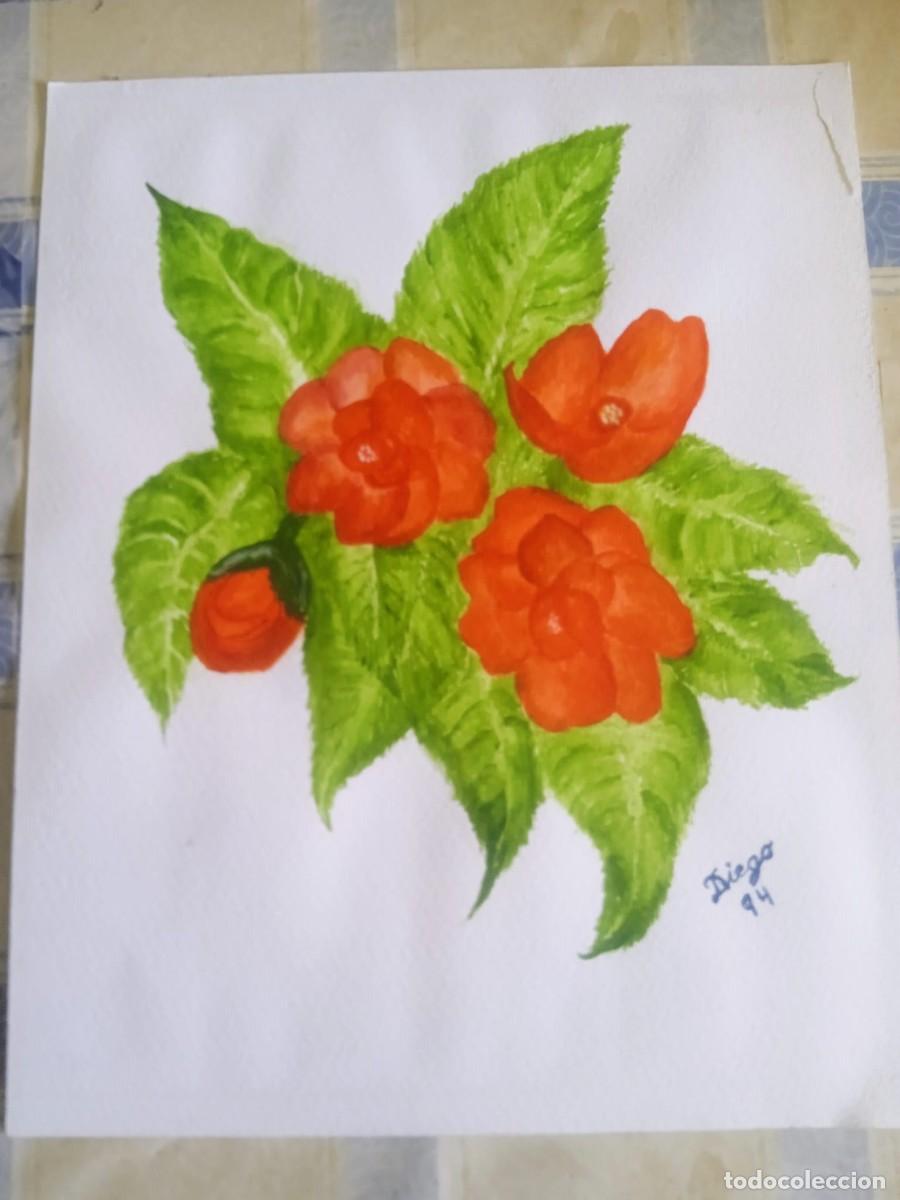 Kunst: lamina acuarela firmada,directamente del autor