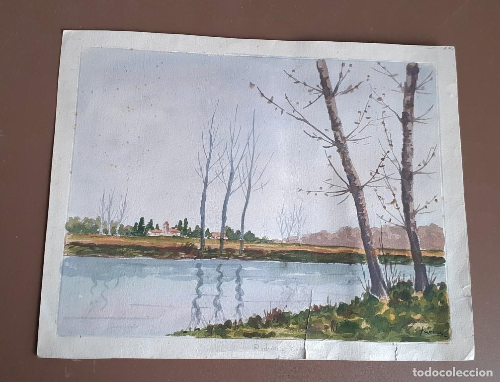 Arte: Acuarela Firma Fatra - Foto 1