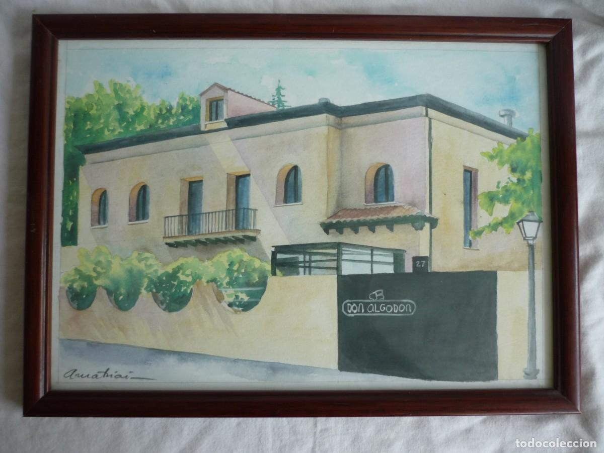 Arte: Acuarela enmarcada y firmada Don Algod&oacute;n - Foto 2